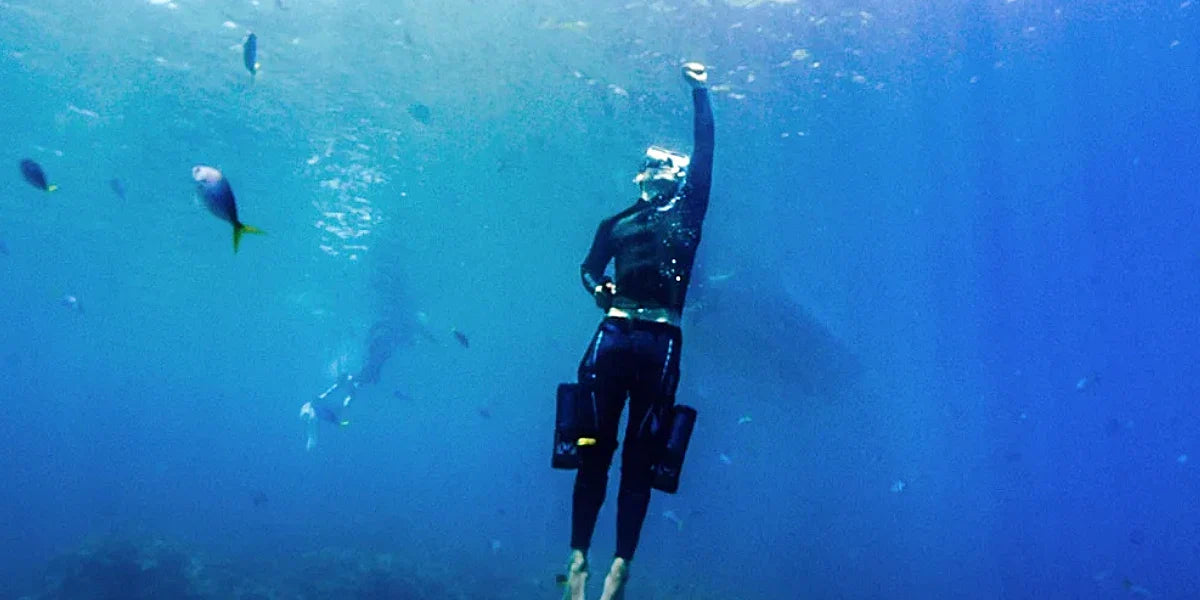 Underwater Scooters for Freediving for Sale