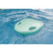 Green Asiwo Mako Electric Kickboard floating in pool.