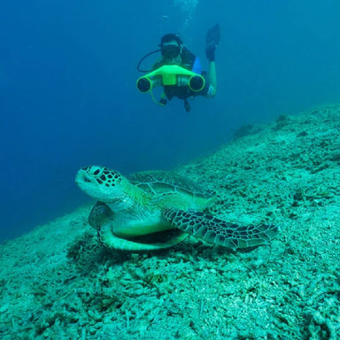 Scuba diver using green Asiwo Manta underwater scooter next to sea turtle.