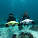 Two adults diving with Asiwo Manta sea scooters.