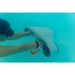 Asiwo Manta 2 Underwater Scooter Safety