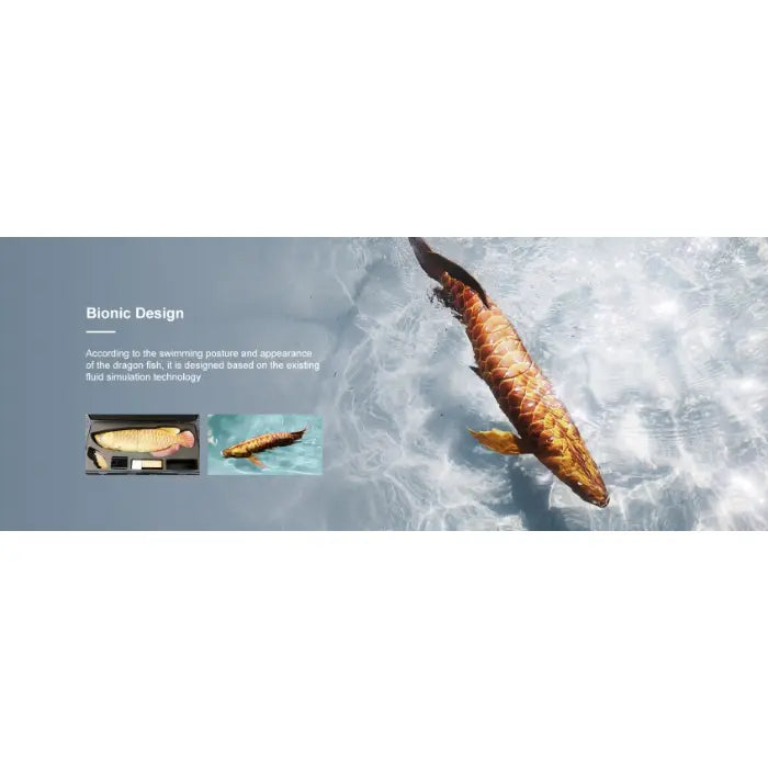 Robosea ROBOLAB-GL Robotic Fish bionic design.