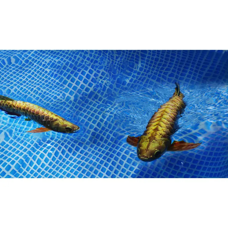 Robosea ROBOLAB-GL Robotic Fish swimming together.