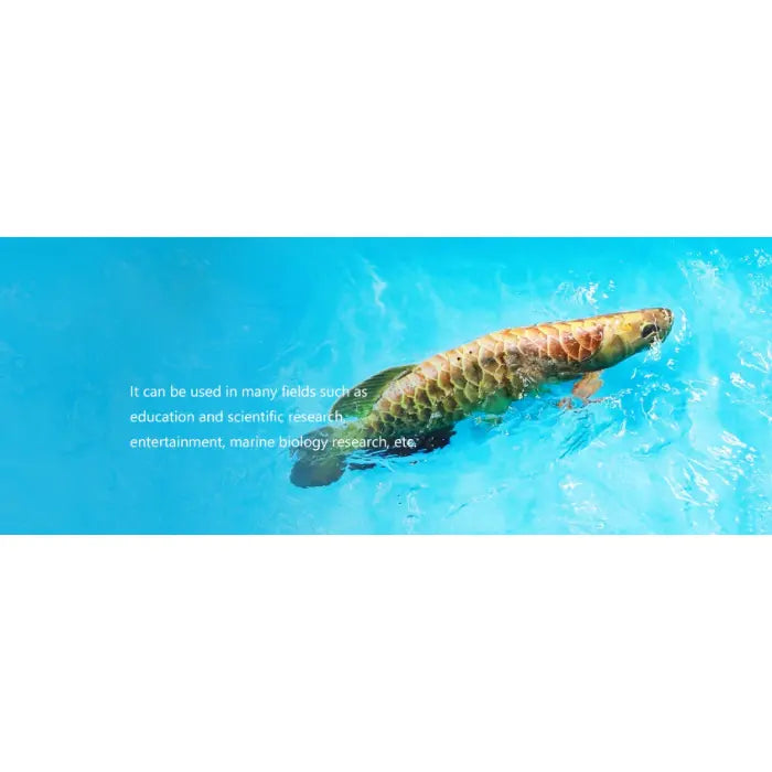 Robosea ROBOLAB-GL Robotic Fish wide use of fields.