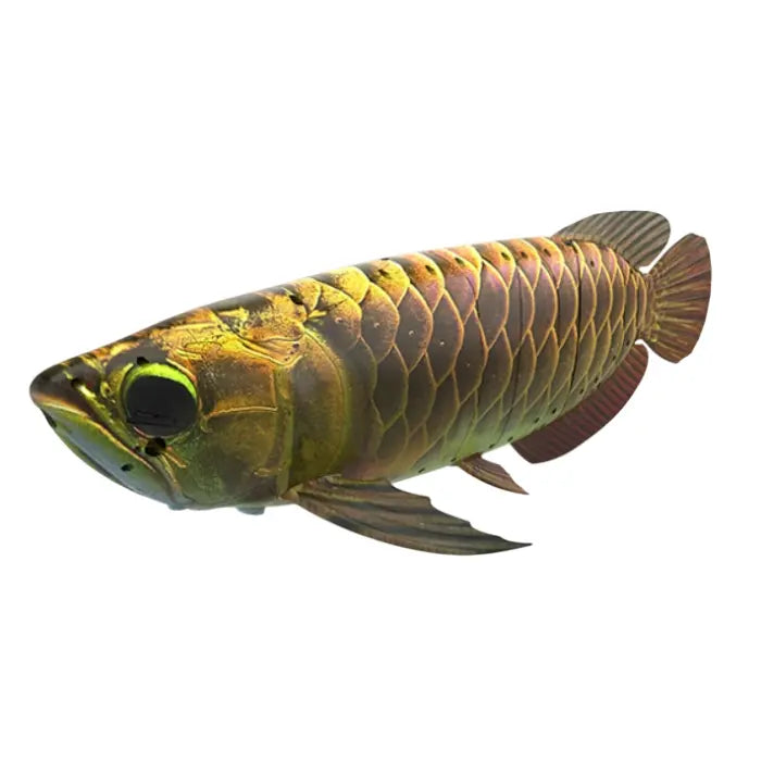Robosea ROBOLAB-GL Robotic Fish