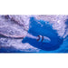 Sublue WhiteShark Tini Inflatable Kickboard for pools