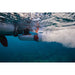 Sublue WhiteShark Tini Paddleboard Power Single Motor Kit Full Power Up Close