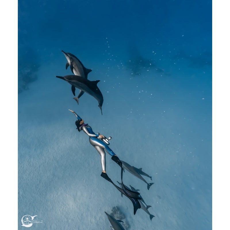 ZTDive JETDIVE Underwater Scooter for freediving with dolphins